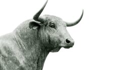Decentra Digest Newsletter- Bitcoin Ethereum Crypto Trading News Tips Charts Price Analysis