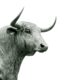 Decentra Digest Newsletter- Bitcoin Ethereum Crypto Trading News Tips Charts Price Analysis